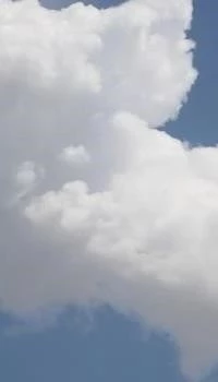 Cloud Crypto Bots Free Tier