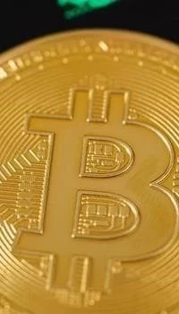 Maximizing Profits with Crypto Signal Bots